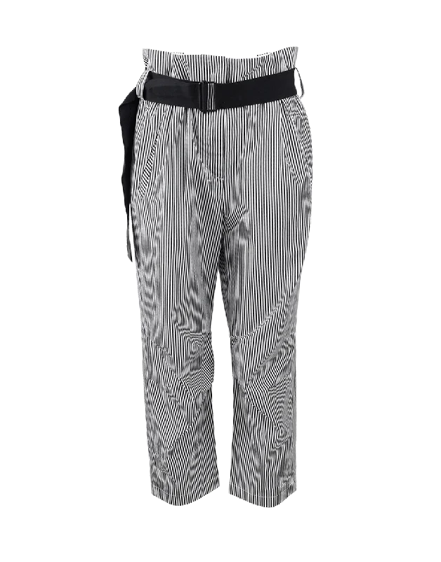Wrinkle resistant pants for women on business tripsBosworth Striped Pant