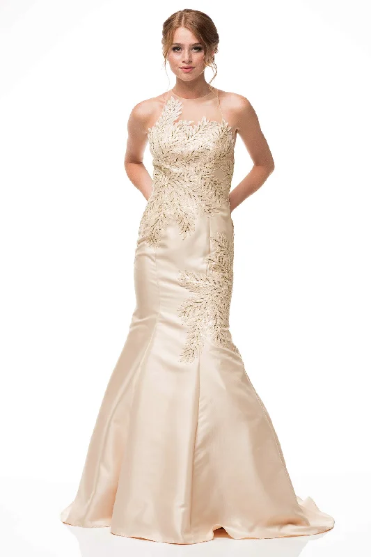 "Lace dresses for women for a romantic and elegant look"CP8321